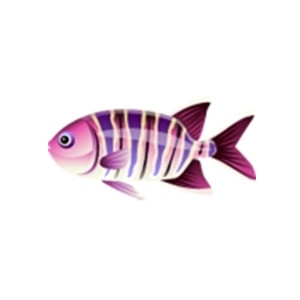 Striped Raspberry Fish